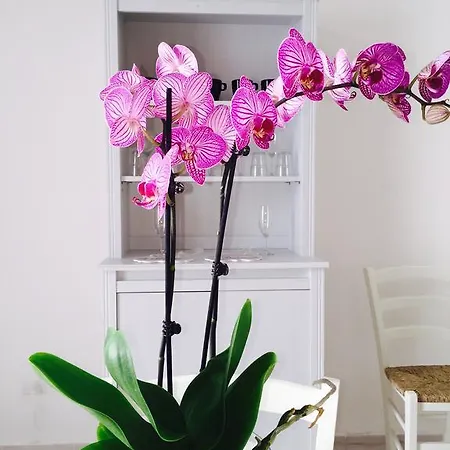 Dimora Corte Dei Saetta Apartmán *